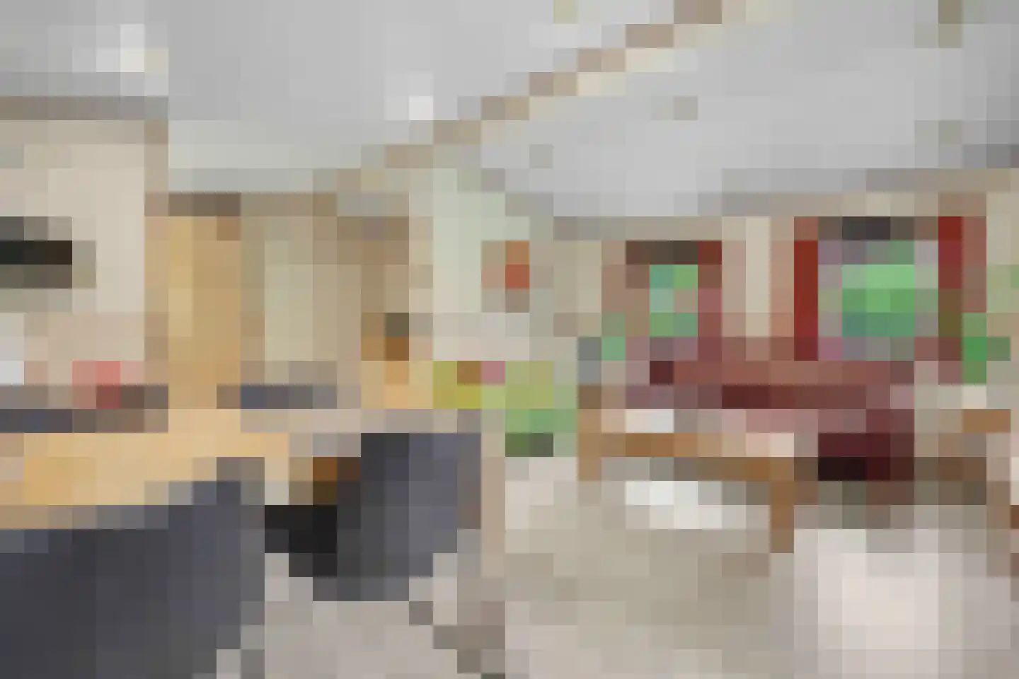Nieuw Beusinkweg 20 05 Winterswijk thumbnail 12