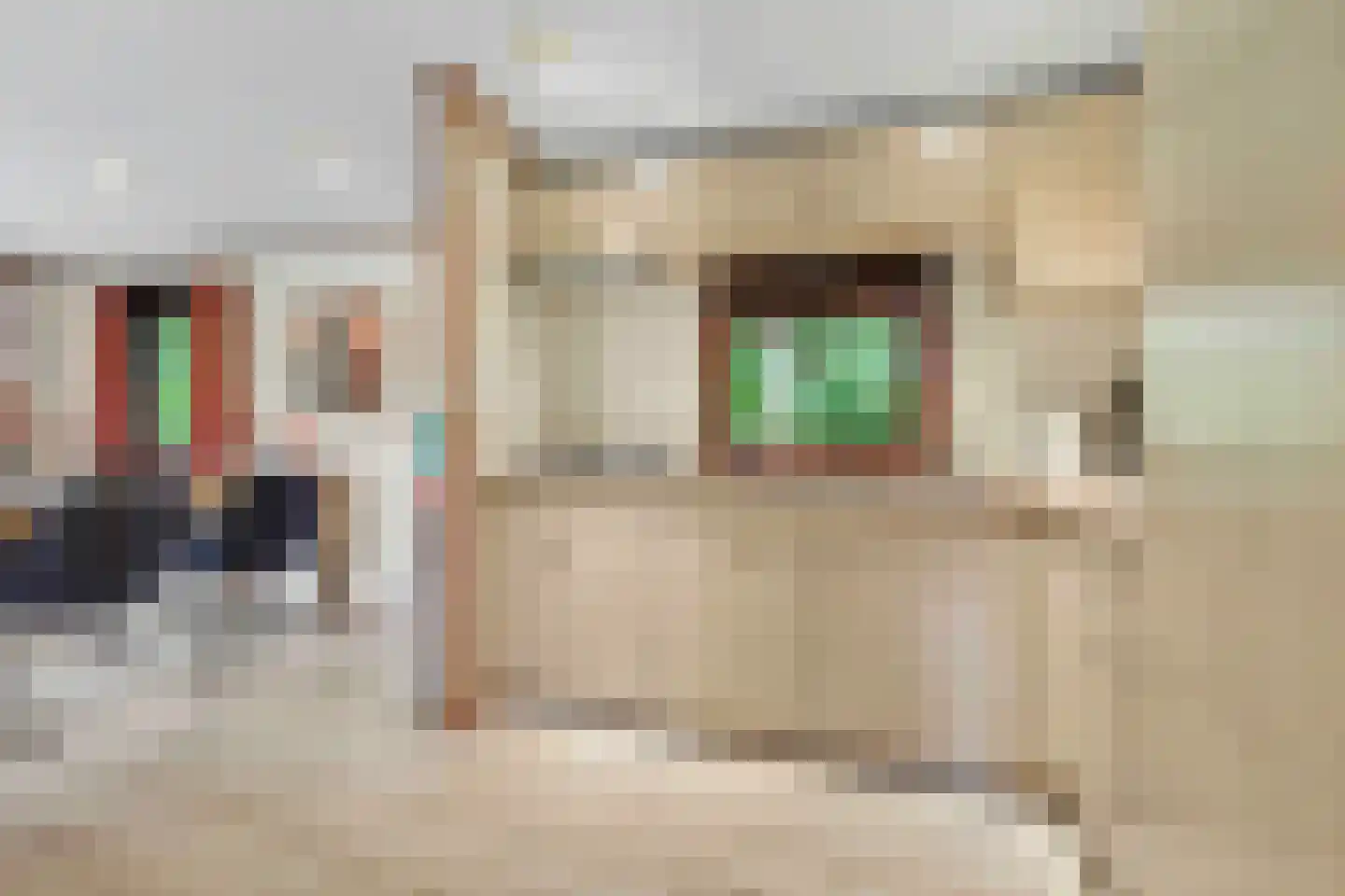 Nieuw Beusinkweg 20 05 Winterswijk thumbnail 15