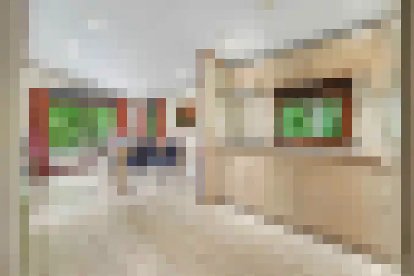 Nieuw Beusinkweg 20 05 Winterswijk thumbnail 16