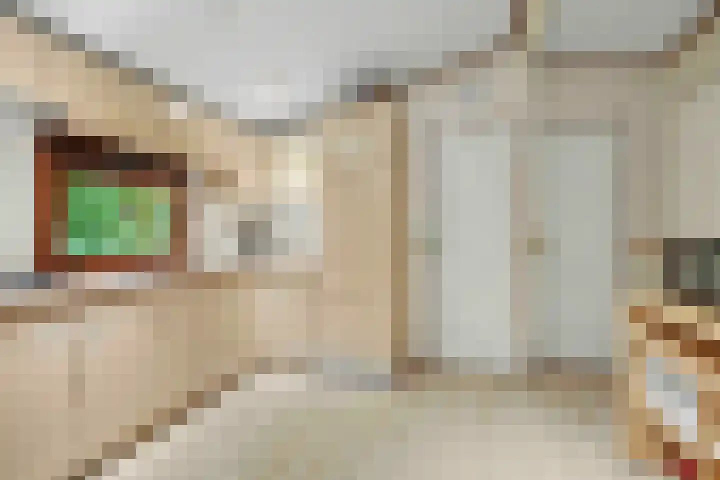 Nieuw Beusinkweg 20 05 Winterswijk thumbnail 17