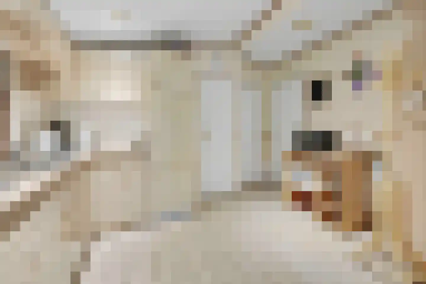 Nieuw Beusinkweg 20 05 Winterswijk thumbnail 20