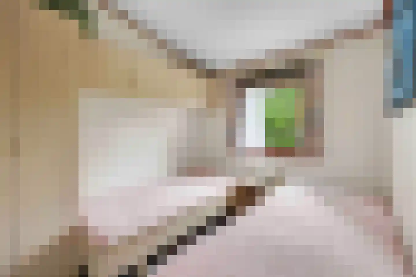 Nieuw Beusinkweg 20 05 Winterswijk thumbnail 23