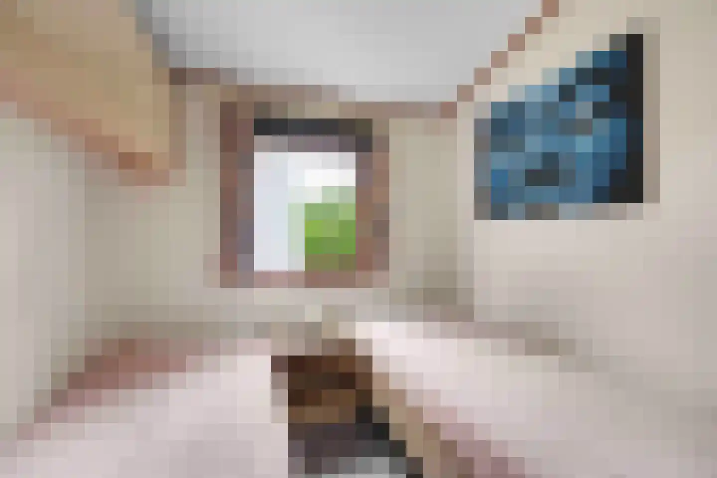 Nieuw Beusinkweg 20 05 Winterswijk thumbnail 25
