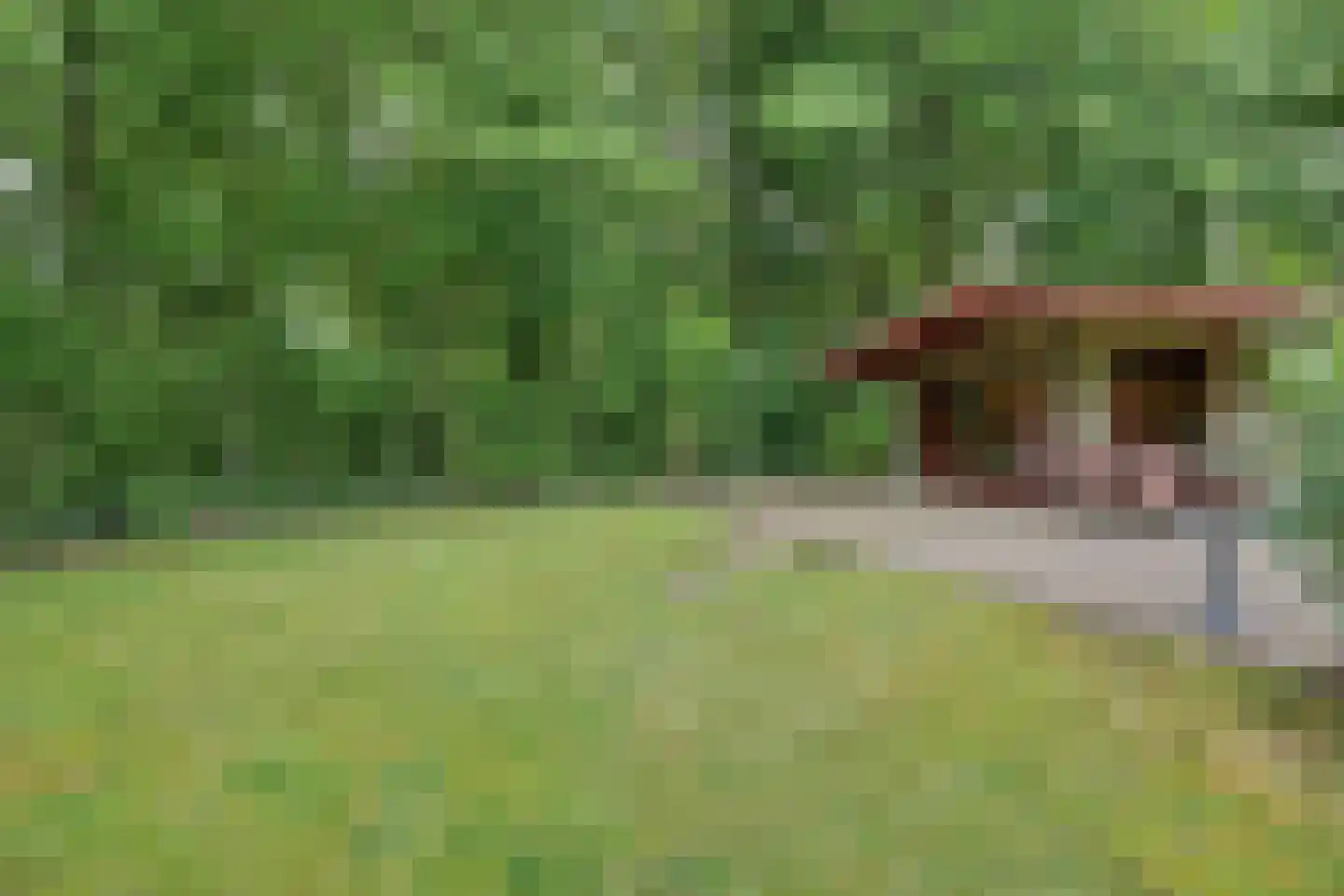 Nieuw Beusinkweg 20 05 Winterswijk thumbnail 31