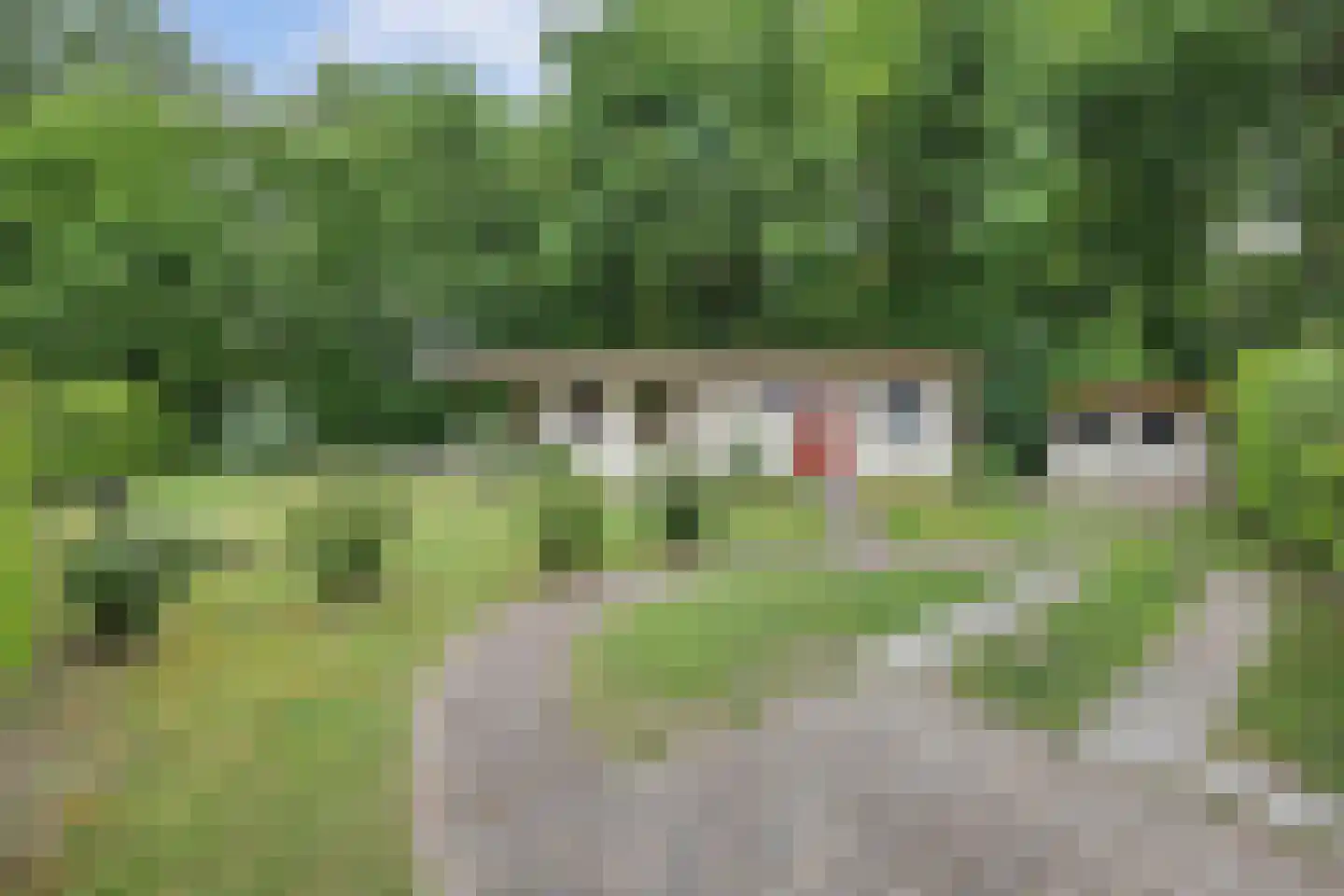 Nieuw Beusinkweg 20 05 Winterswijk thumbnail 32