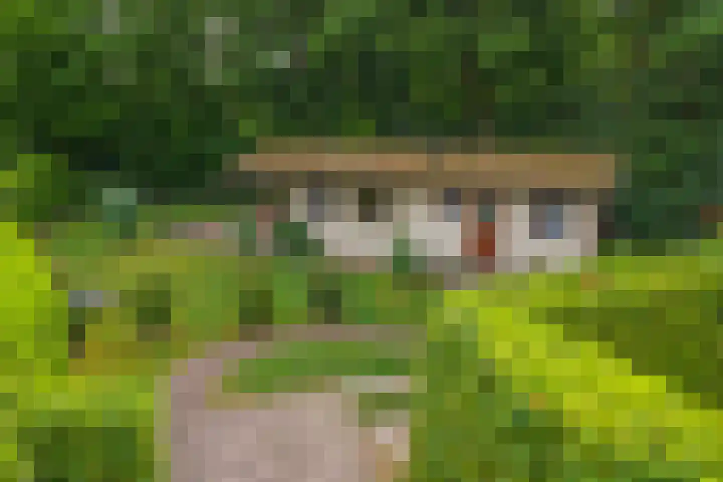 Nieuw Beusinkweg 20 05 Winterswijk thumbnail 33