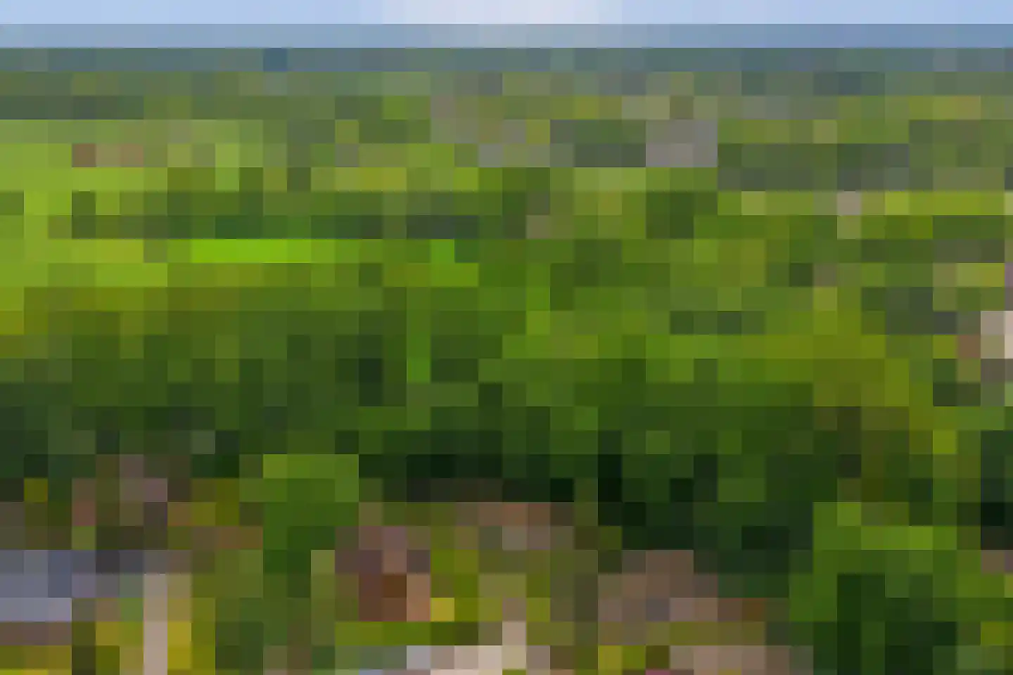 Nieuw Beusinkweg 20 05 Winterswijk thumbnail 36