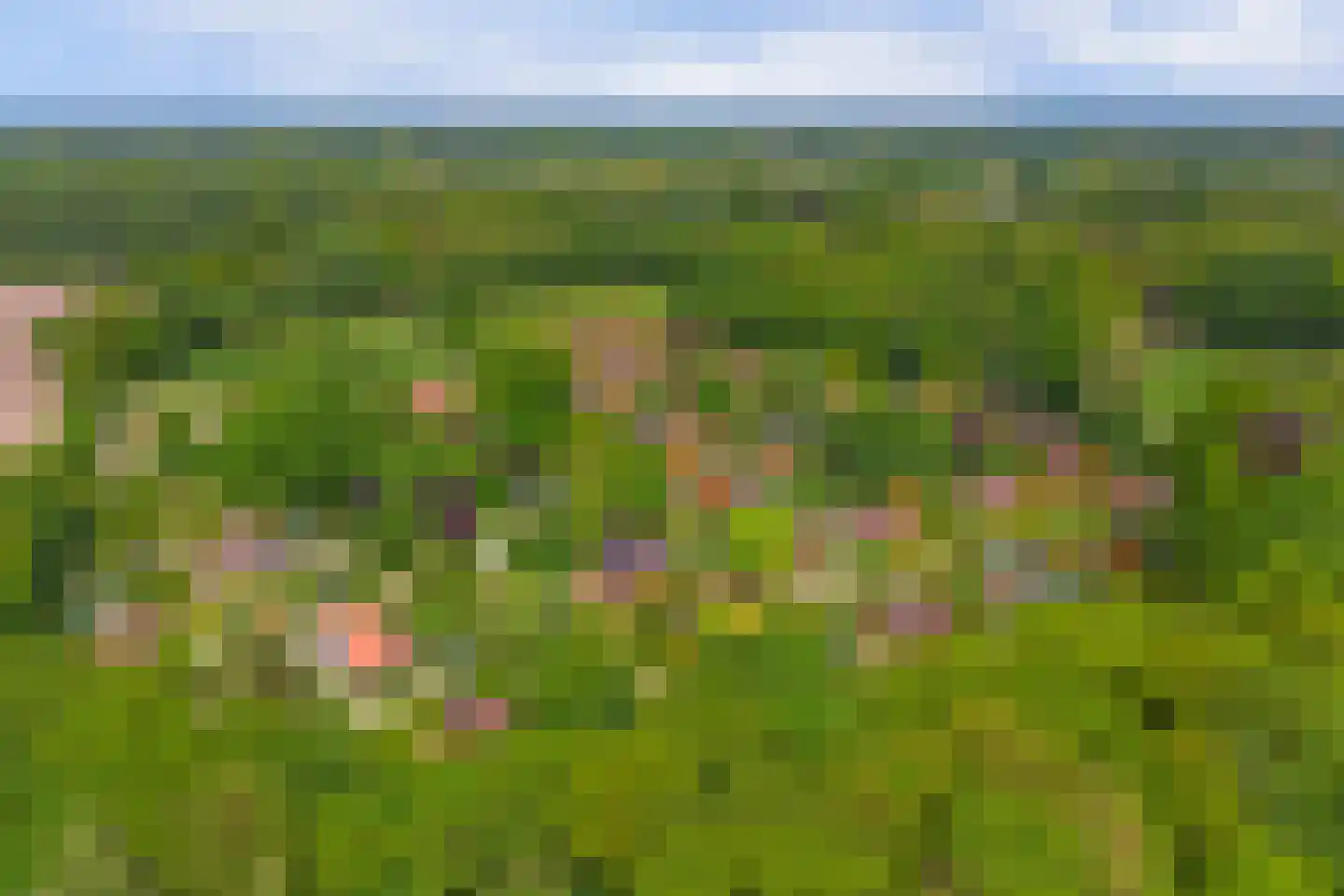 Nieuw Beusinkweg 20 05 Winterswijk thumbnail 37