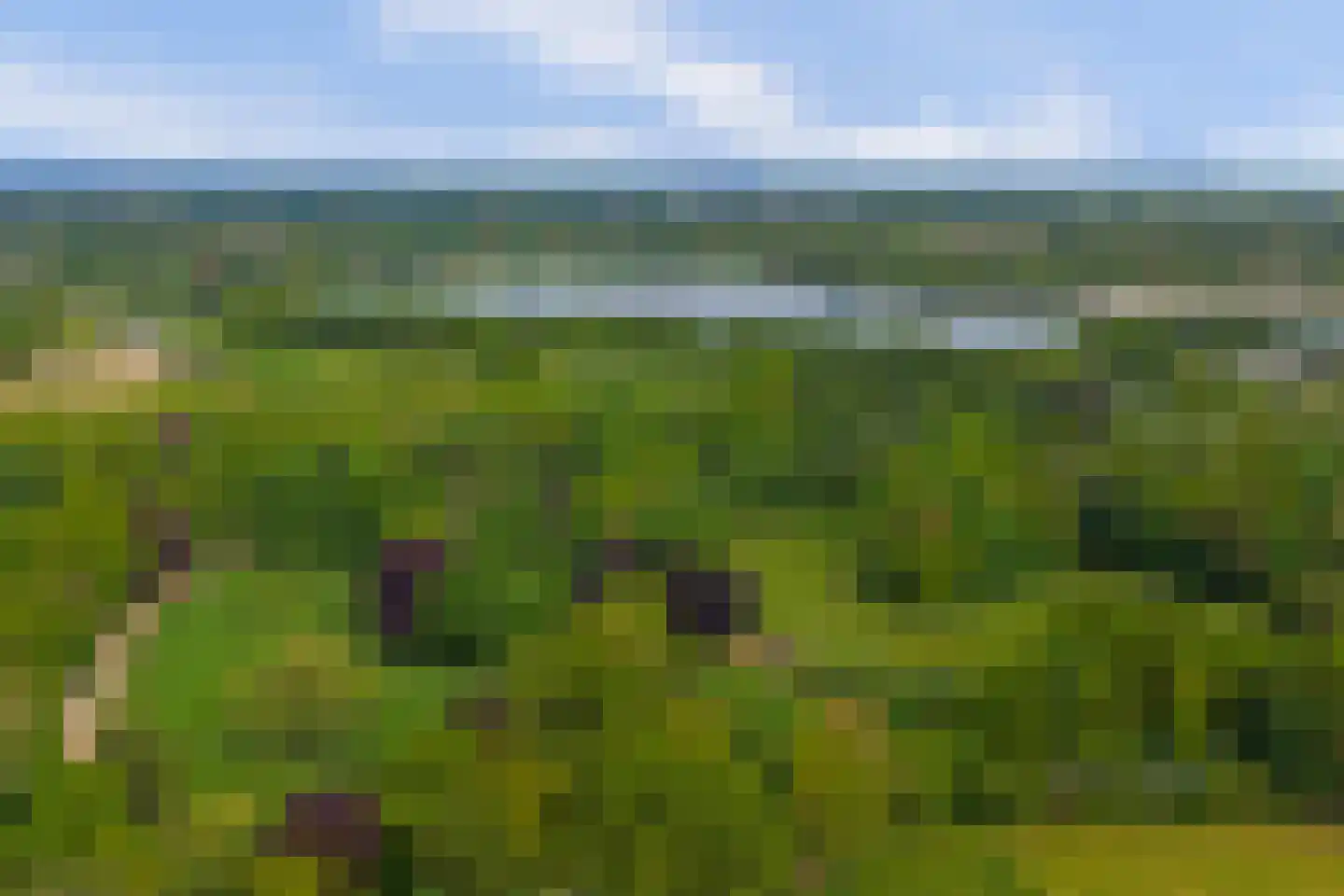 Nieuw Beusinkweg 20 05 Winterswijk thumbnail 38