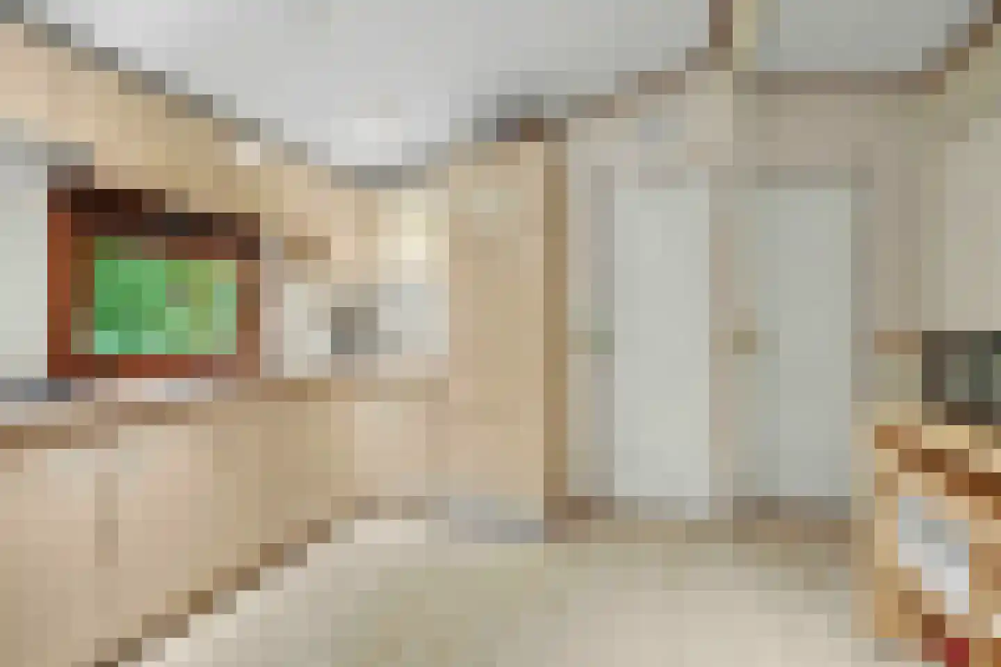Nieuw Beusinkweg 20 05 Winterswijk thumbnail 4
