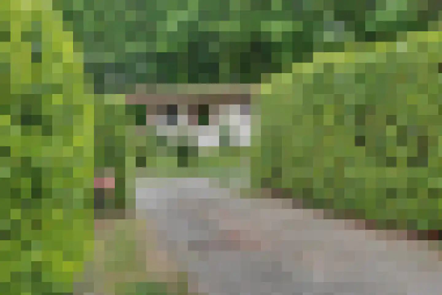 Nieuw Beusinkweg 20 05 Winterswijk thumbnail 6