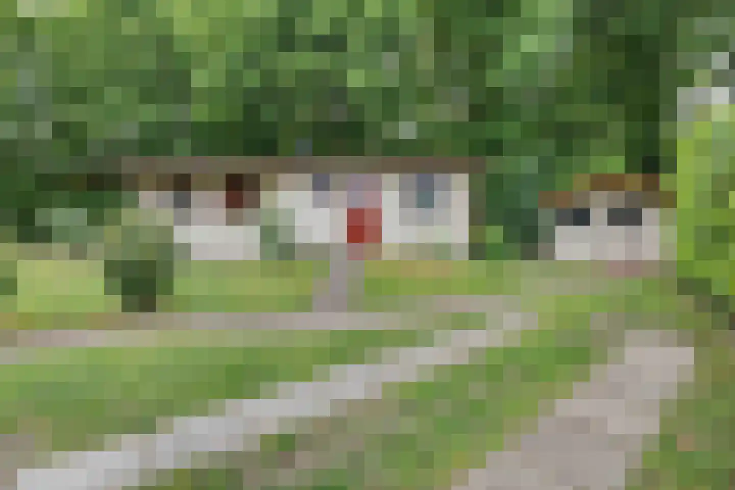 Nieuw Beusinkweg 20 05 Winterswijk thumbnail 7