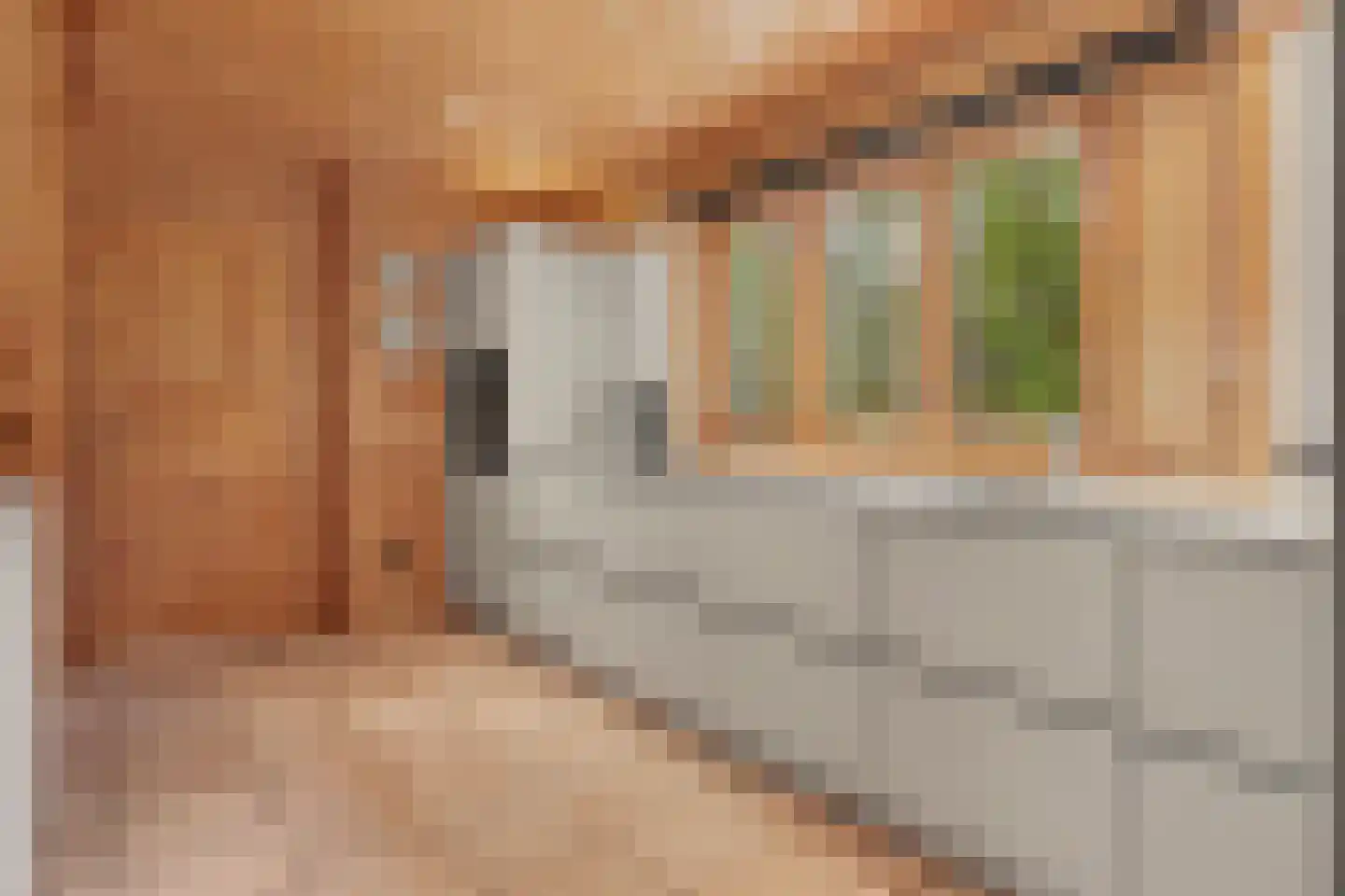 Nieuw Beusinkweg 20 06 Winterswijk thumbnail 15