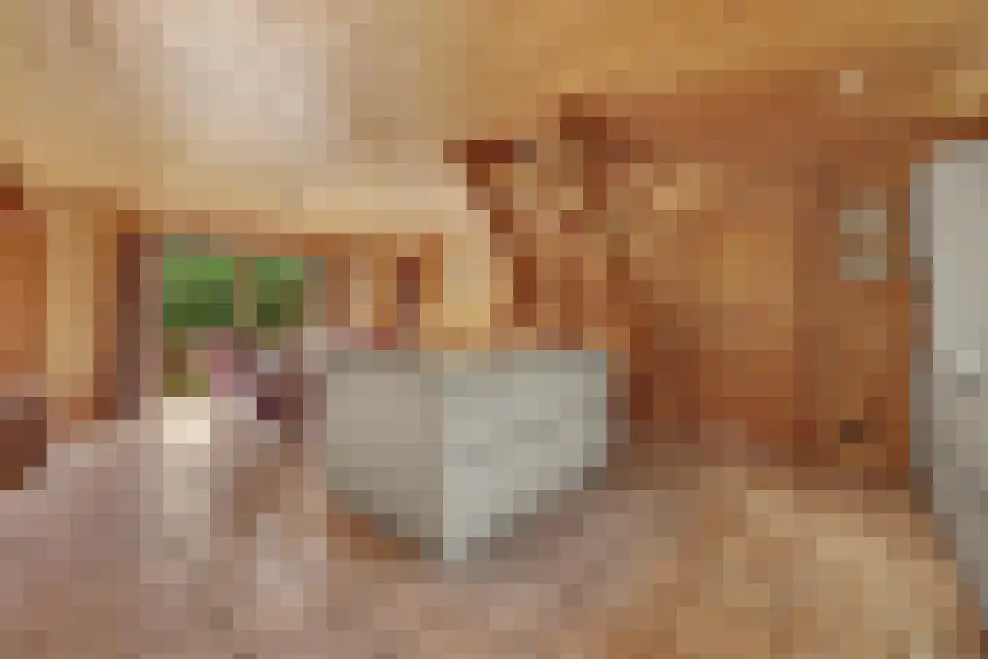 Nieuw Beusinkweg 20 06 Winterswijk thumbnail 17