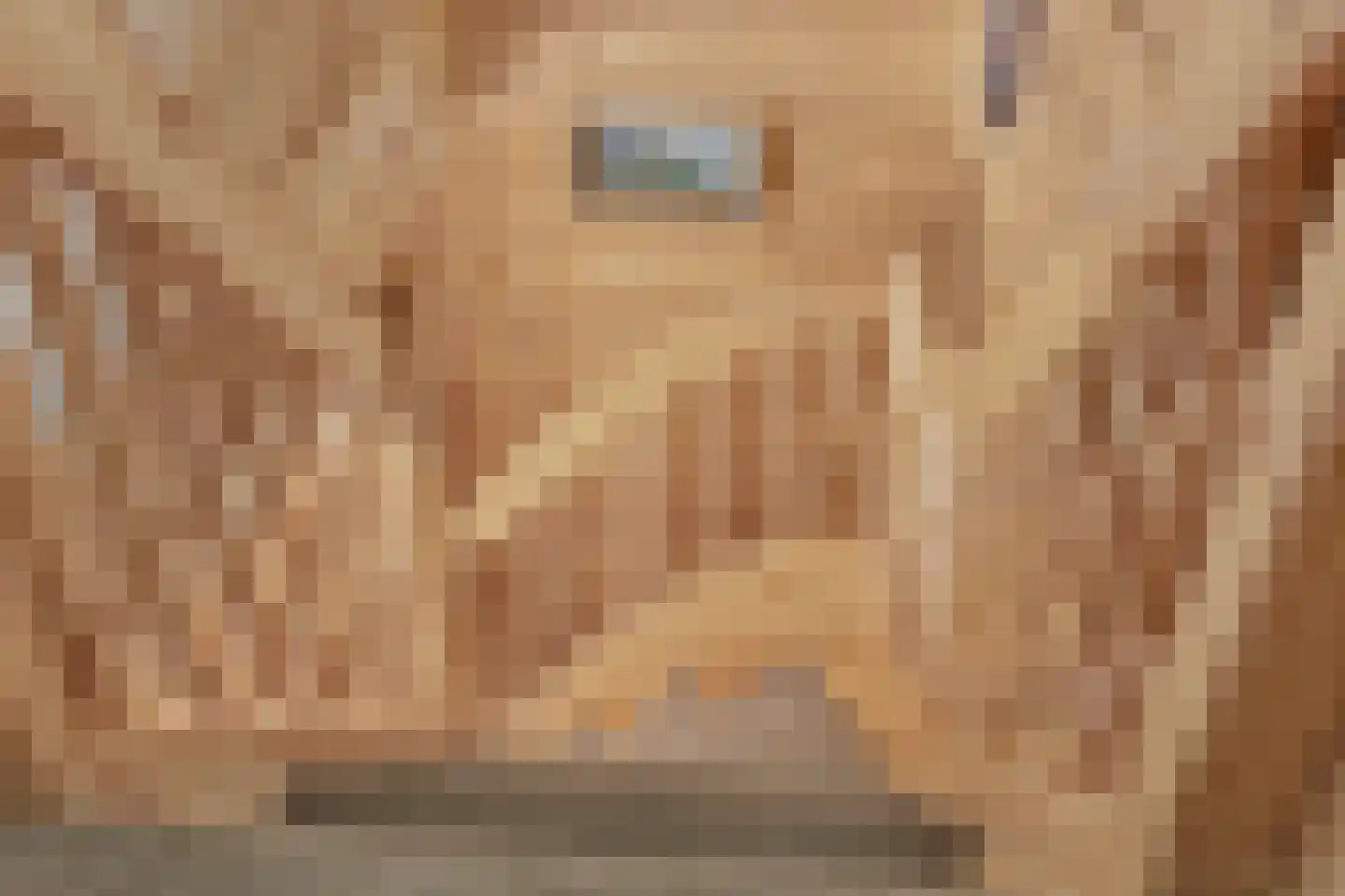 Nieuw Beusinkweg 20 06 Winterswijk thumbnail 22