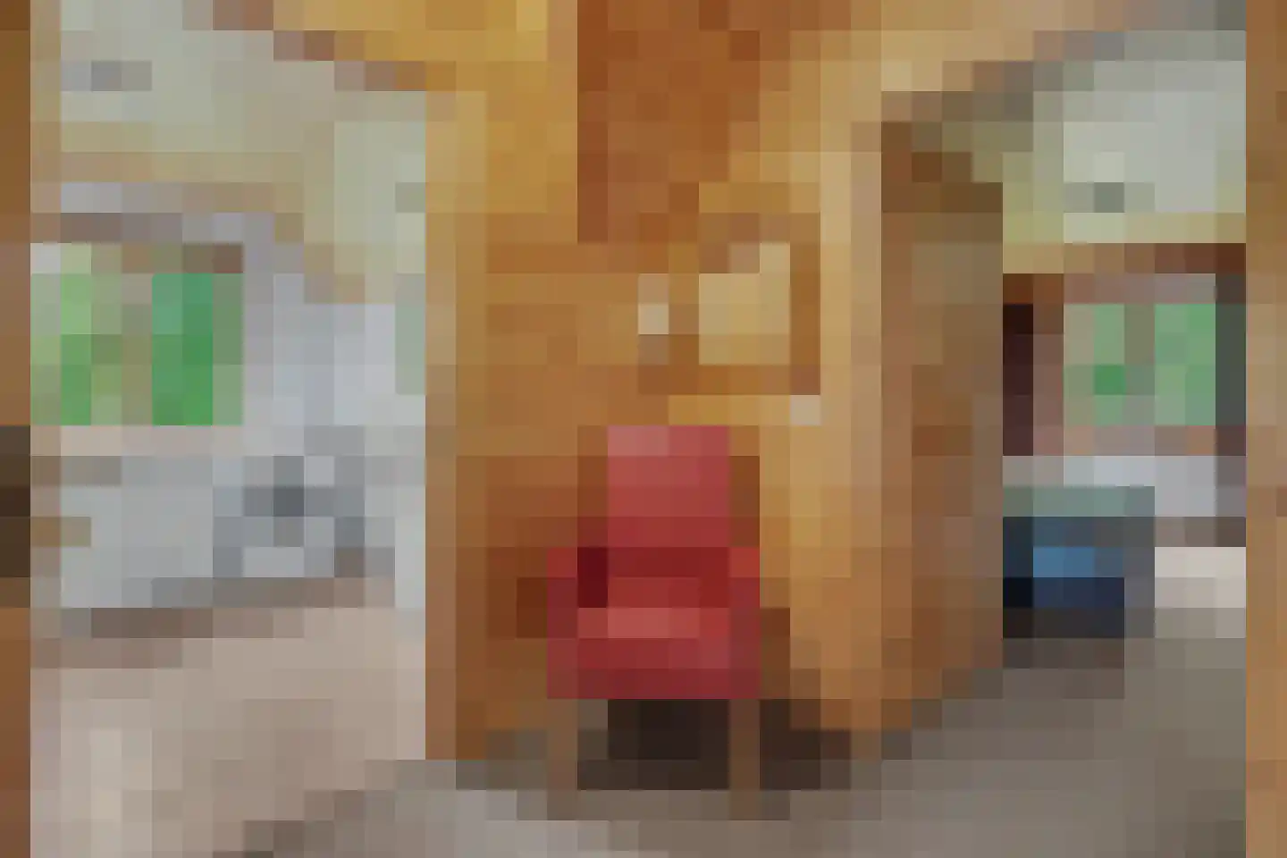 Nieuw Beusinkweg 20 06 Winterswijk thumbnail 23