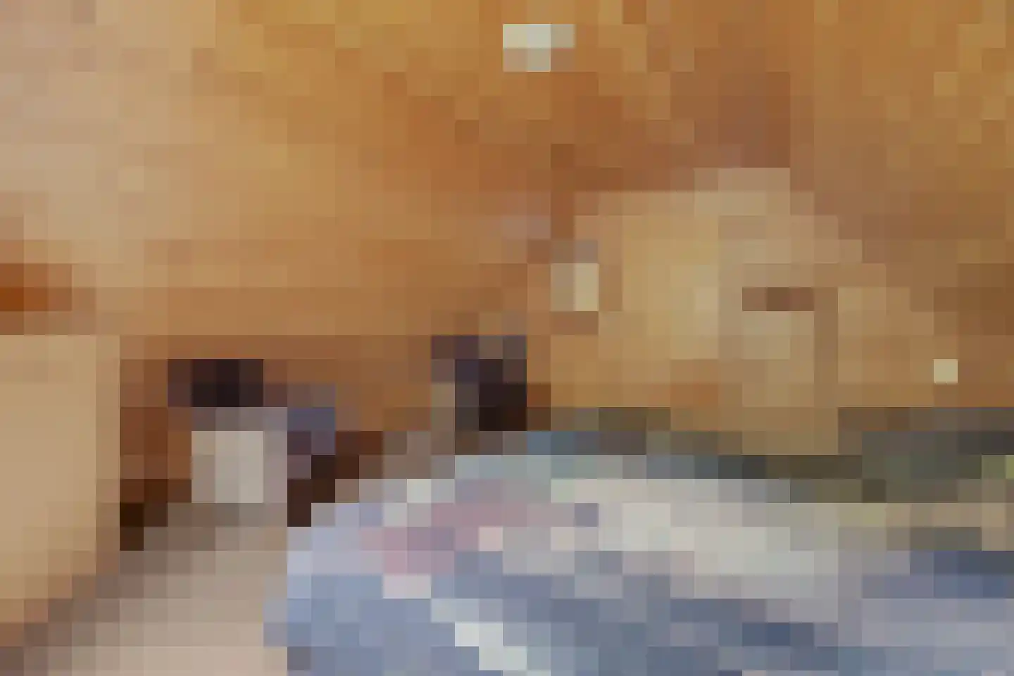 Nieuw Beusinkweg 20 06 Winterswijk thumbnail 25