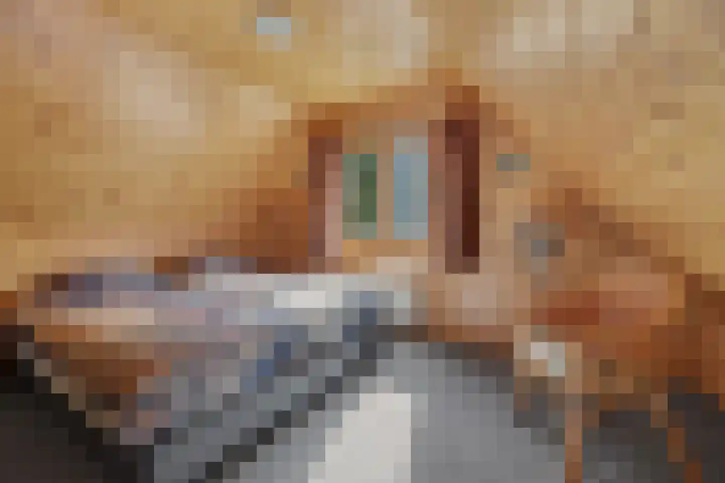 Nieuw Beusinkweg 20 06 Winterswijk thumbnail 26