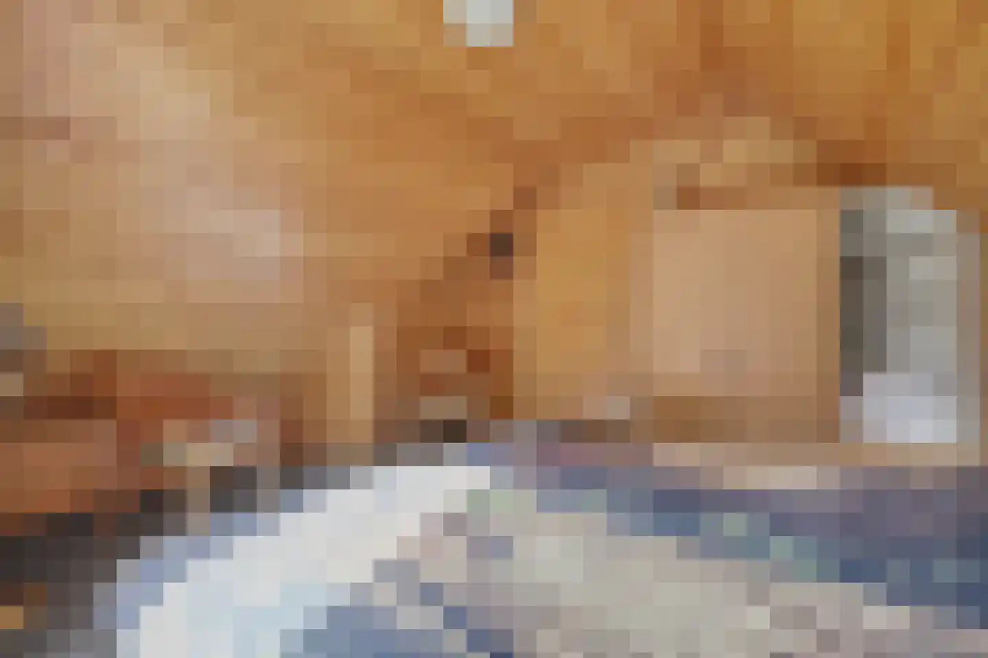 Nieuw Beusinkweg 20 06 Winterswijk thumbnail 27