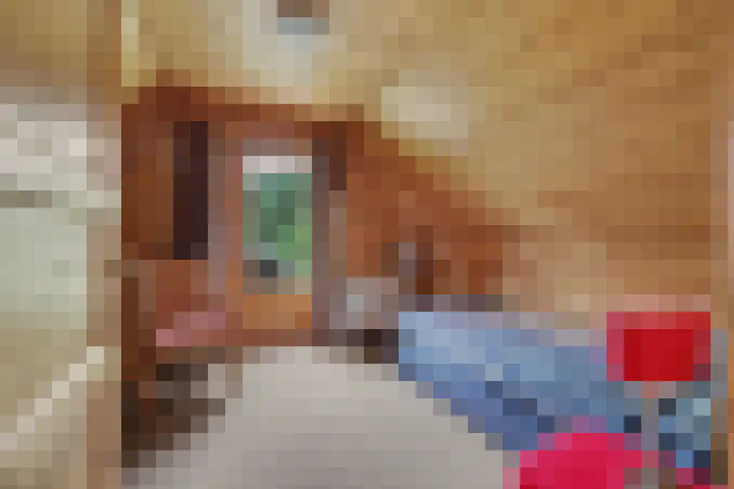 Nieuw Beusinkweg 20 06 Winterswijk thumbnail 30