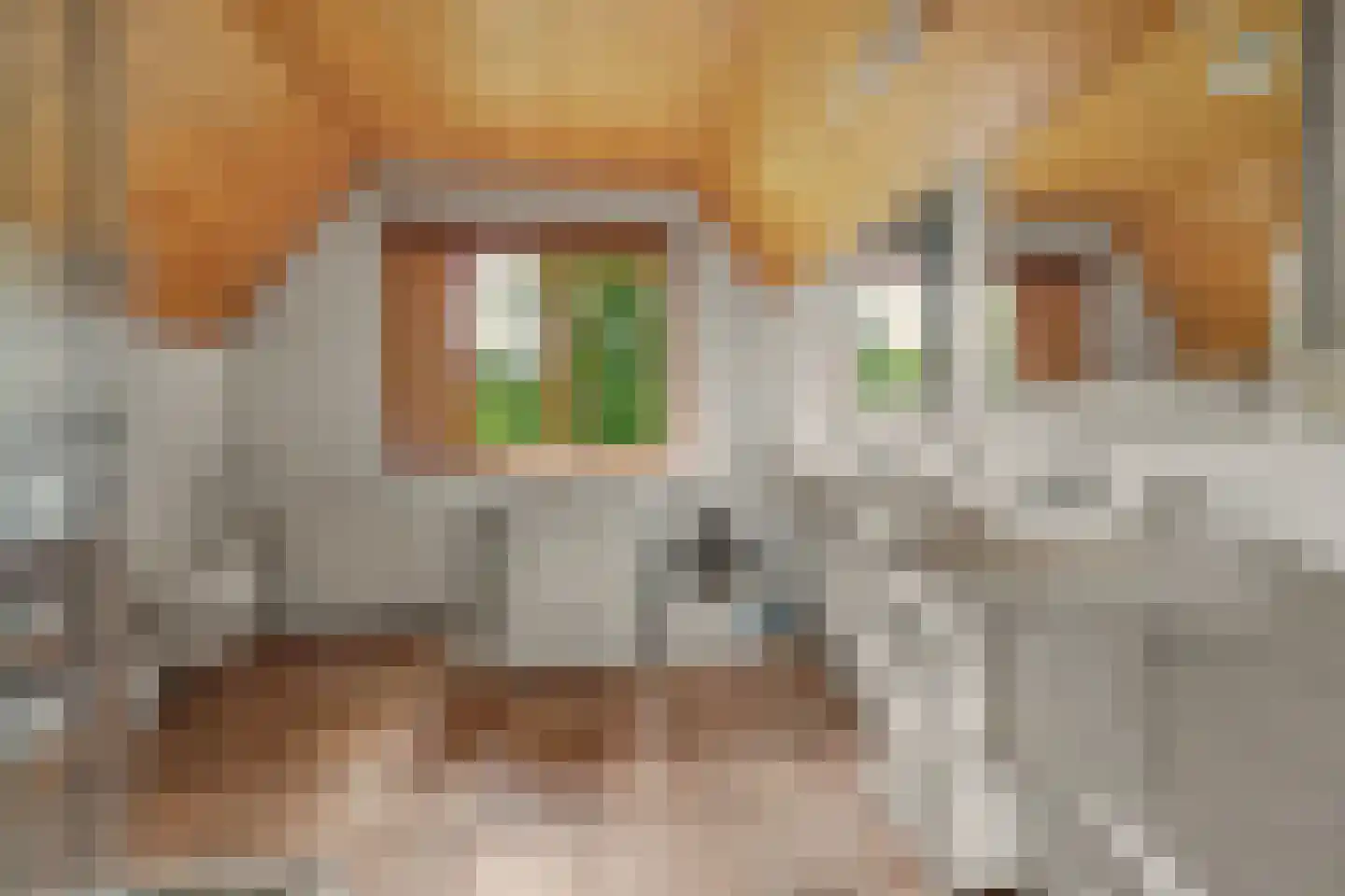 Nieuw Beusinkweg 20 06 Winterswijk thumbnail 31