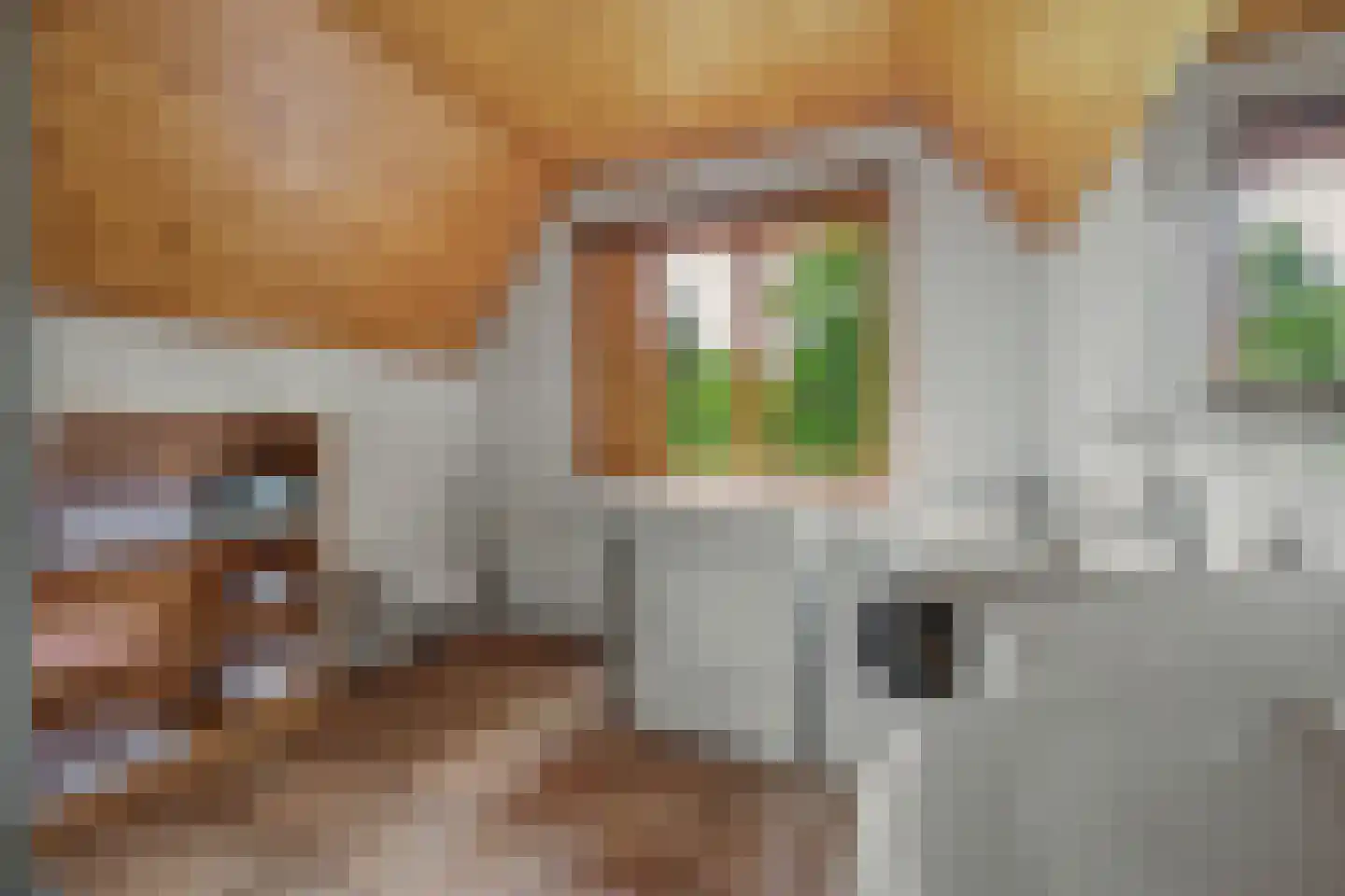 Nieuw Beusinkweg 20 06 Winterswijk thumbnail 32