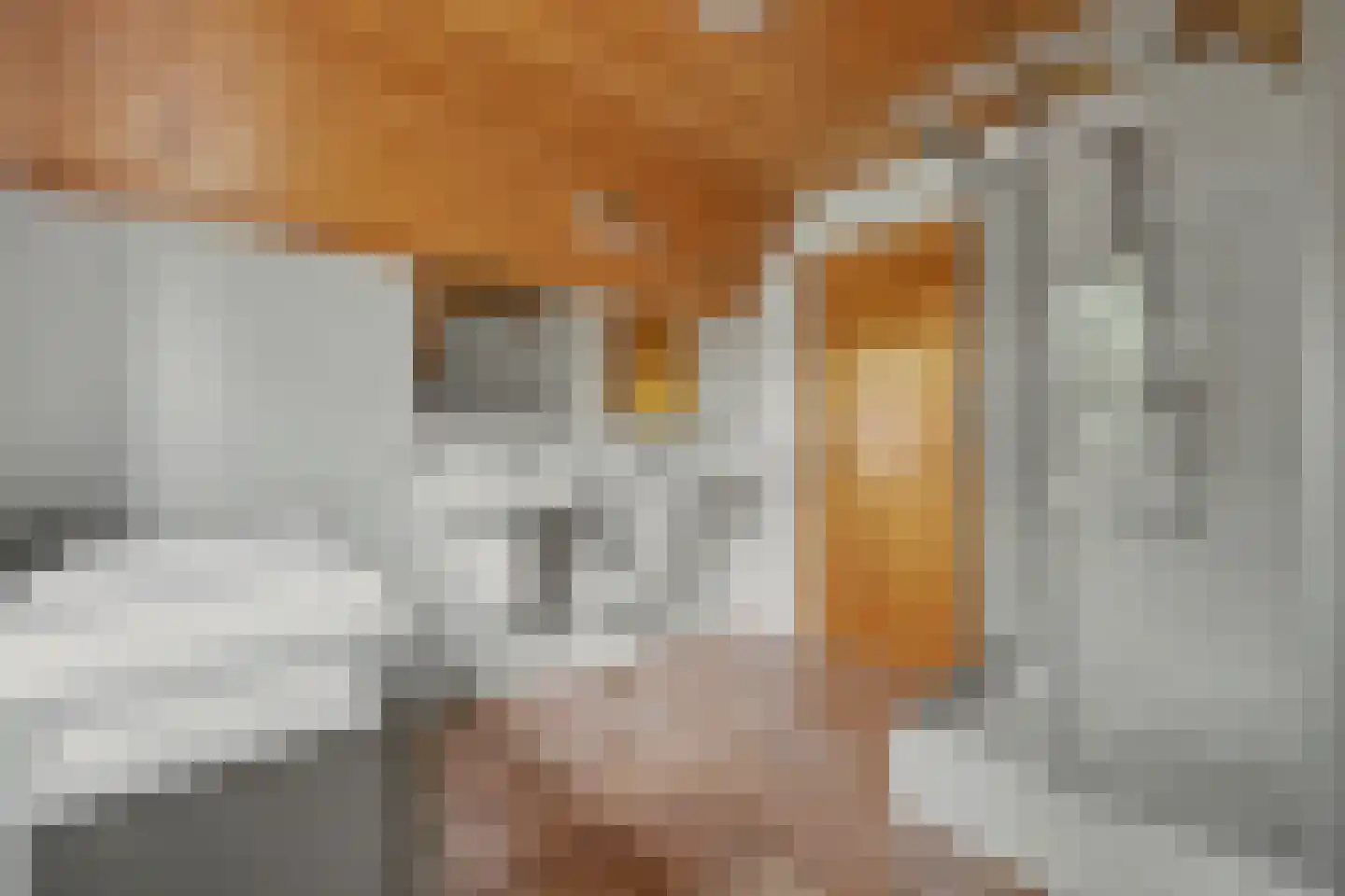 Nieuw Beusinkweg 20 06 Winterswijk thumbnail 33