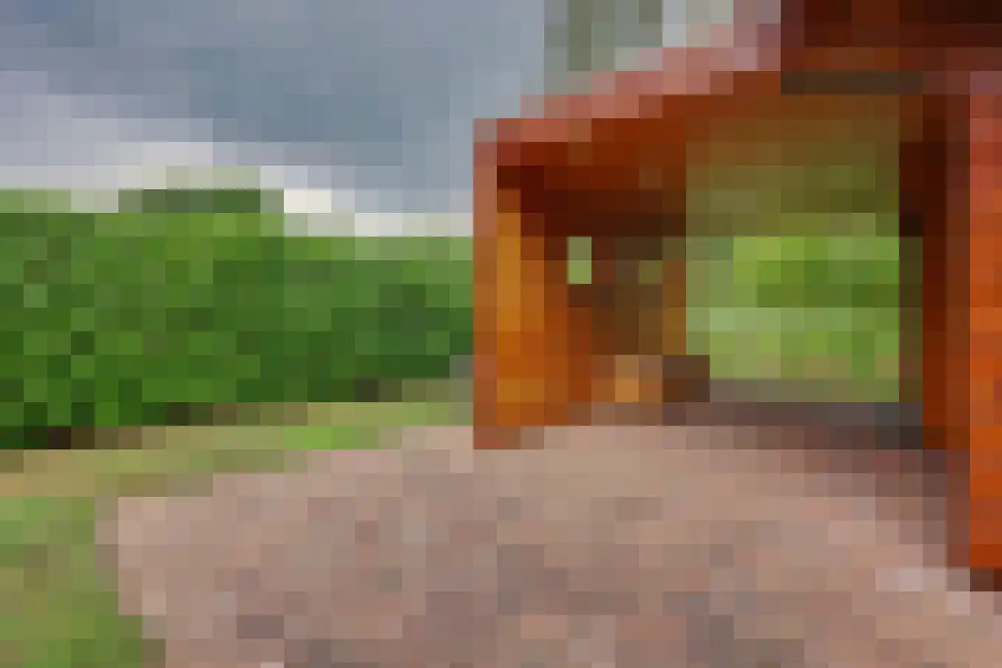 Nieuw Beusinkweg 20 06 Winterswijk thumbnail 35