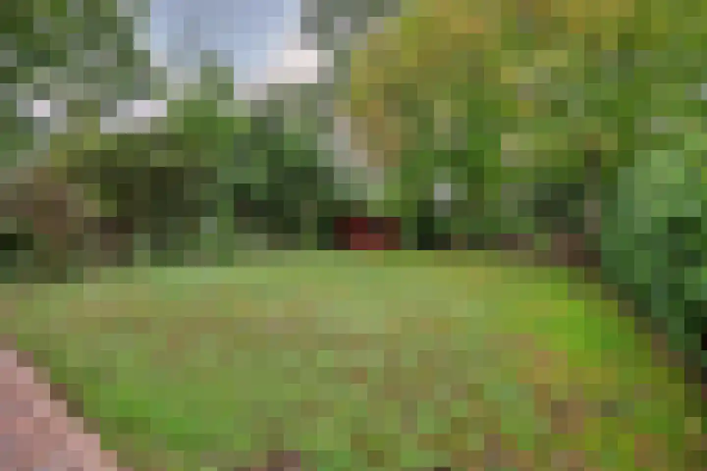Nieuw Beusinkweg 20 06 Winterswijk thumbnail 37