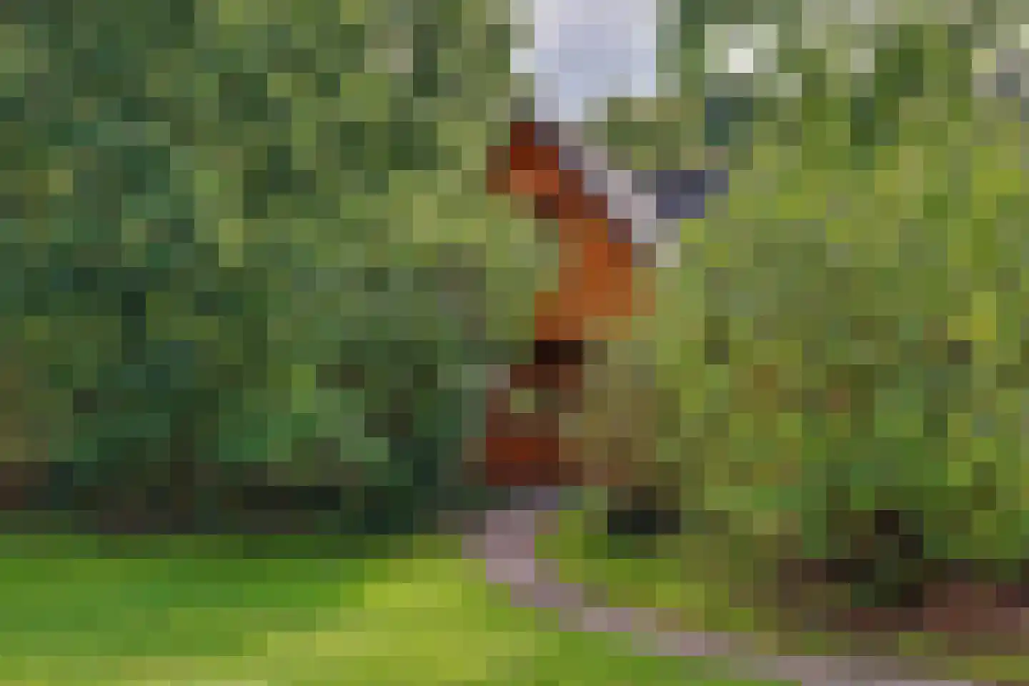 Nieuw Beusinkweg 20 06 Winterswijk thumbnail 4