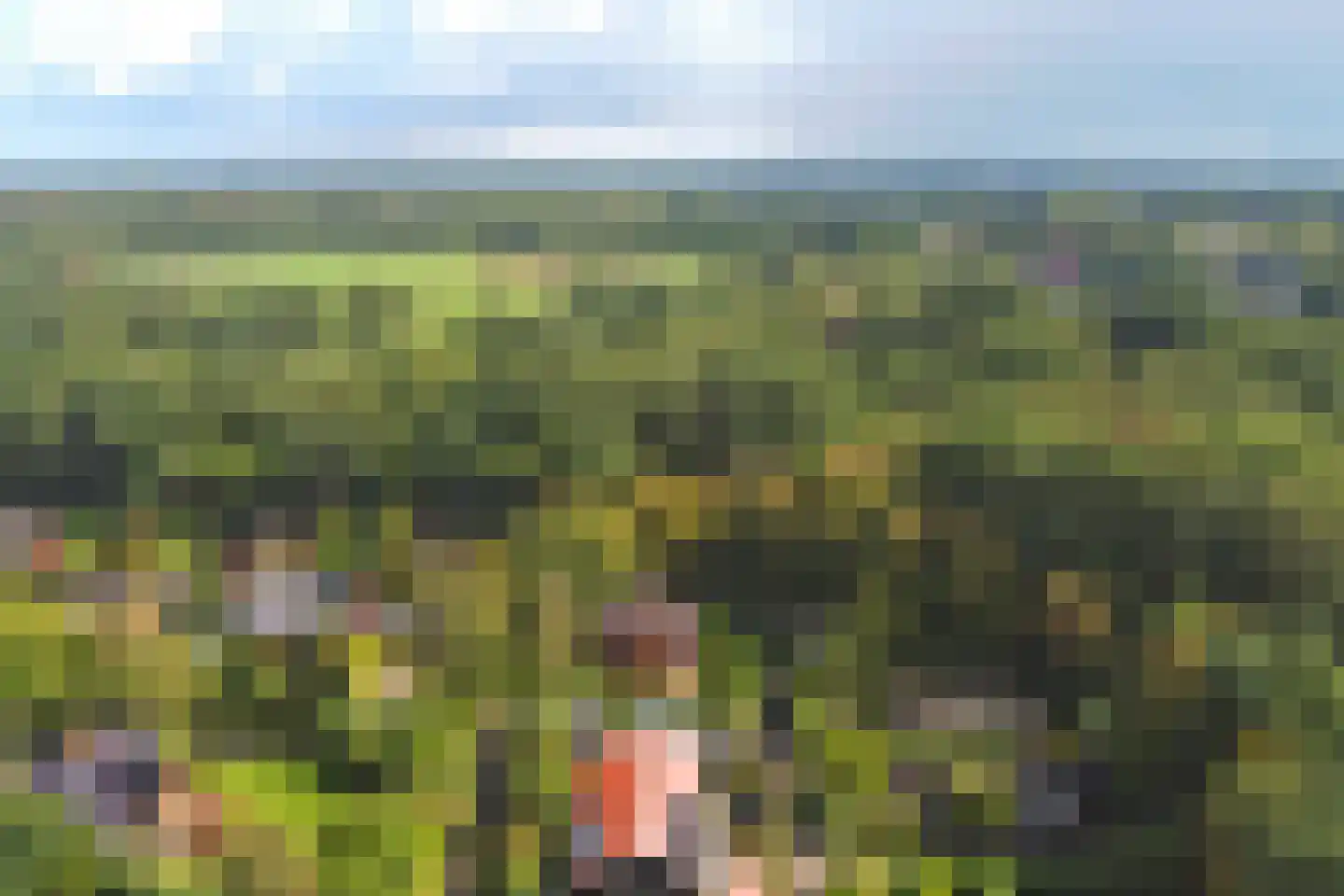 Nieuw Beusinkweg 20 06 Winterswijk thumbnail 43