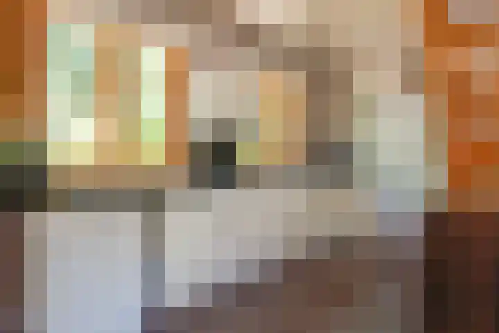 Nieuw Beusinkweg 20 16 Winterswijk thumbnail 11