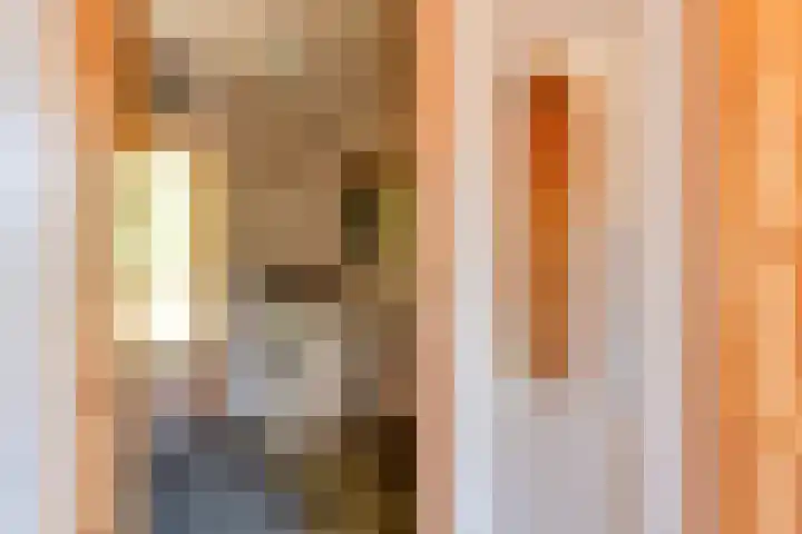 Nieuw Beusinkweg 20 16 Winterswijk thumbnail 21