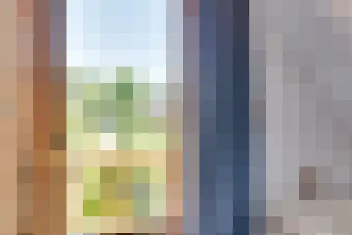 Nieuw Beusinkweg 20 16 Winterswijk thumbnail 26