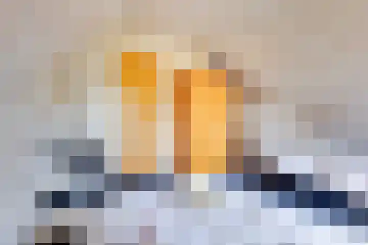 Nieuw Beusinkweg 20 16 Winterswijk thumbnail 27