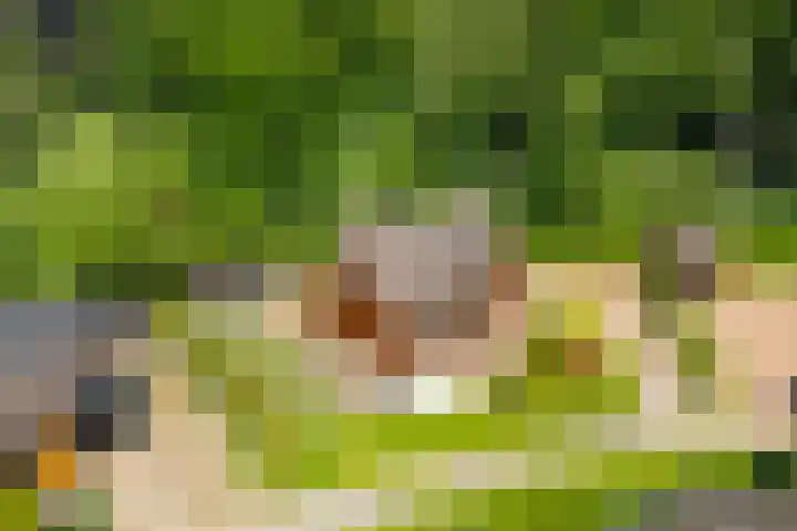 Nieuw Beusinkweg 20 16 Winterswijk thumbnail 35