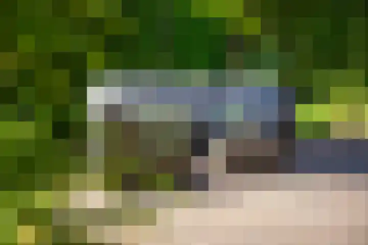Nieuw Beusinkweg 20 16 Winterswijk thumbnail 36