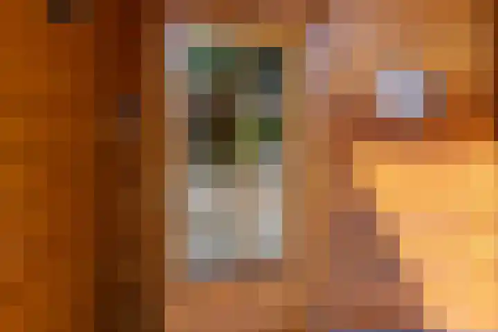 Nieuw Beusinkweg 20 16 Winterswijk thumbnail 4