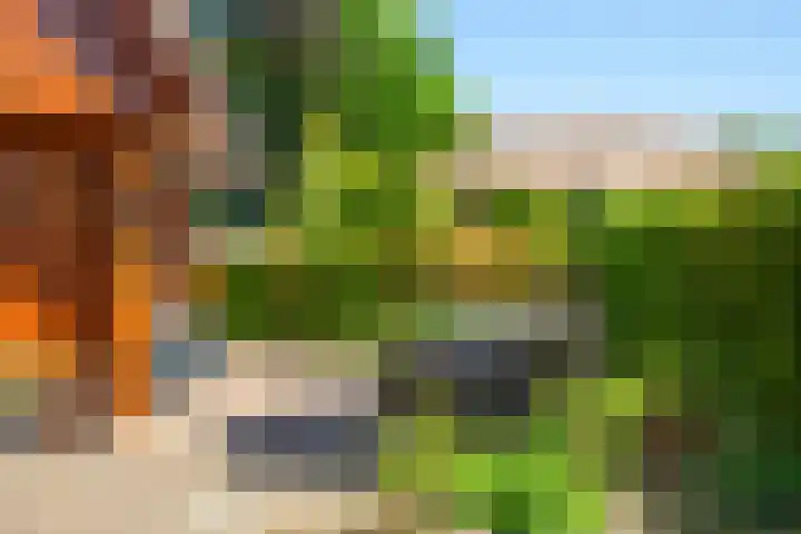 Nieuw Beusinkweg 20 16 Winterswijk thumbnail 41