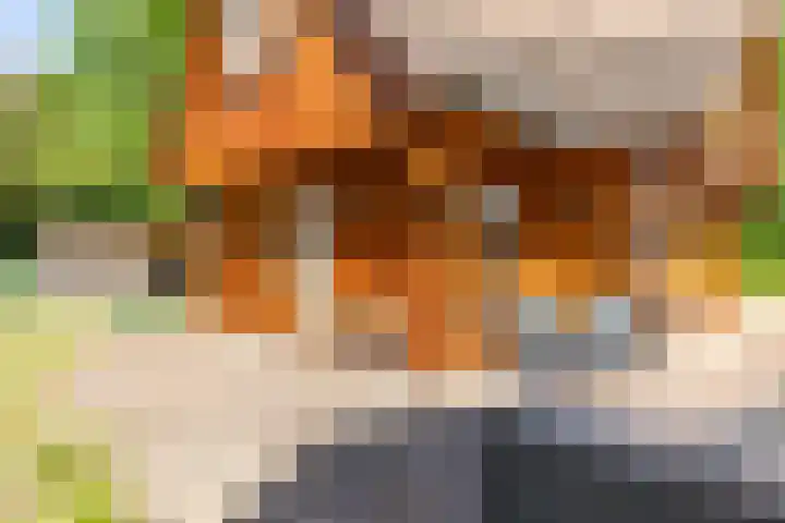 Nieuw Beusinkweg 20 16 Winterswijk thumbnail 42