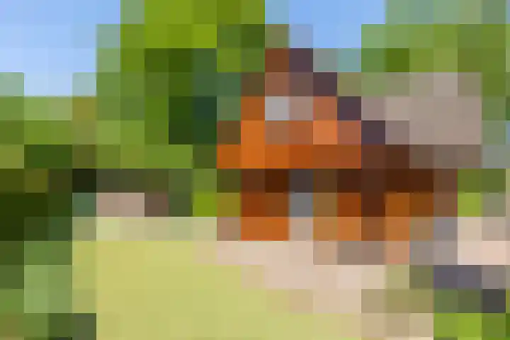 Nieuw Beusinkweg 20 16 Winterswijk thumbnail 43