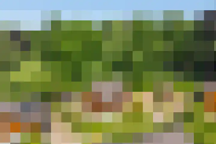 Nieuw Beusinkweg 20 16 Winterswijk thumbnail 46