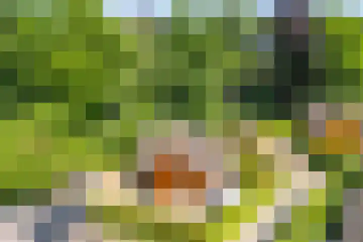 Nieuw Beusinkweg 20 16 Winterswijk thumbnail 47