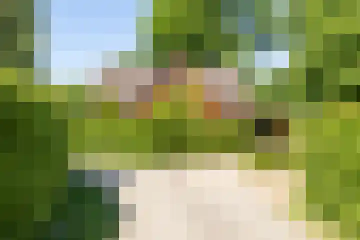 Nieuw Beusinkweg 20 16 Winterswijk thumbnail 48