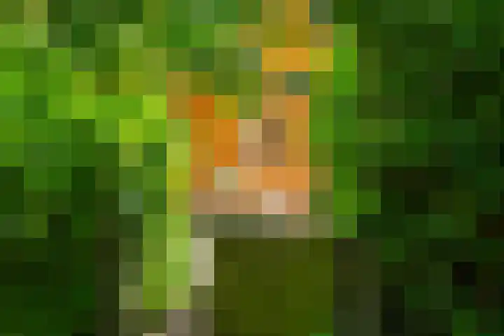 Nieuw Beusinkweg 20 16 Winterswijk thumbnail 49