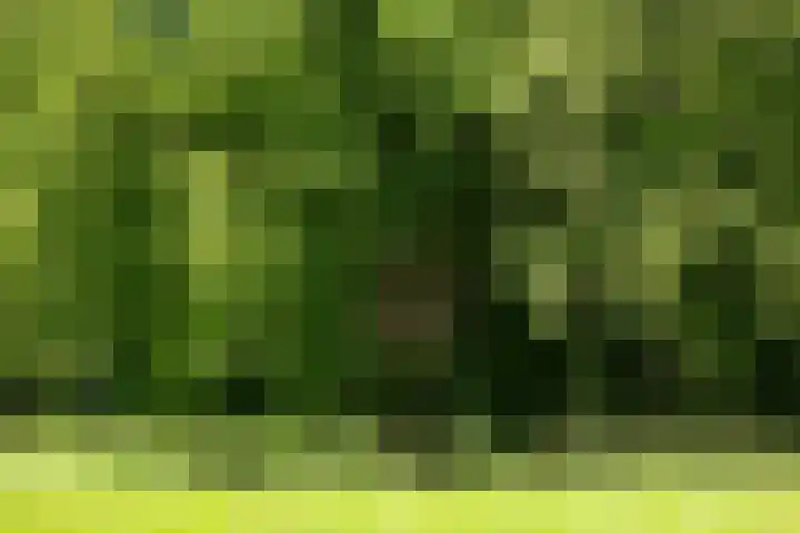 Nieuw Beusinkweg 20 16 Winterswijk thumbnail 53