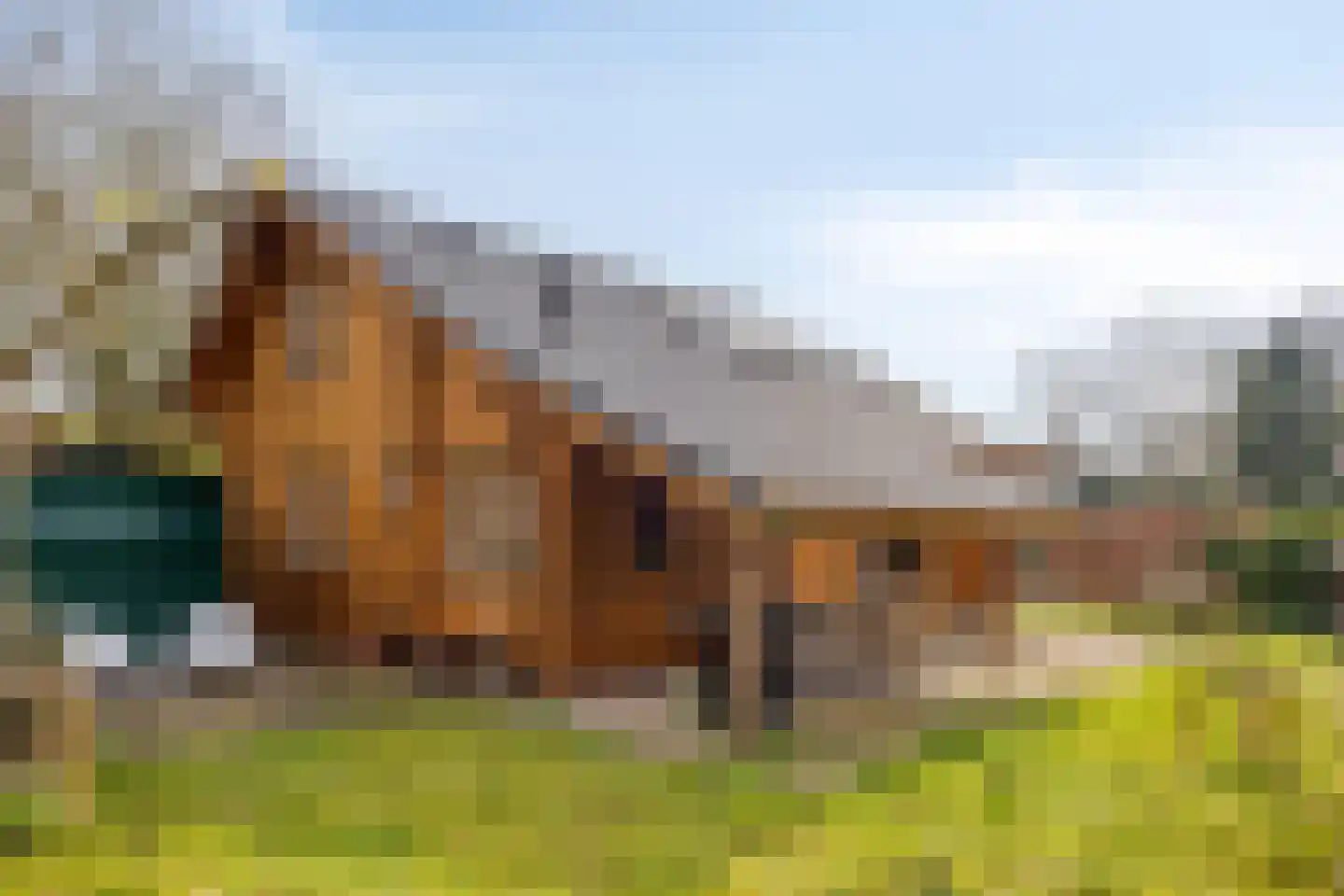 Nieuw Beusinkweg 20 33 Winterswijk thumbnail 11