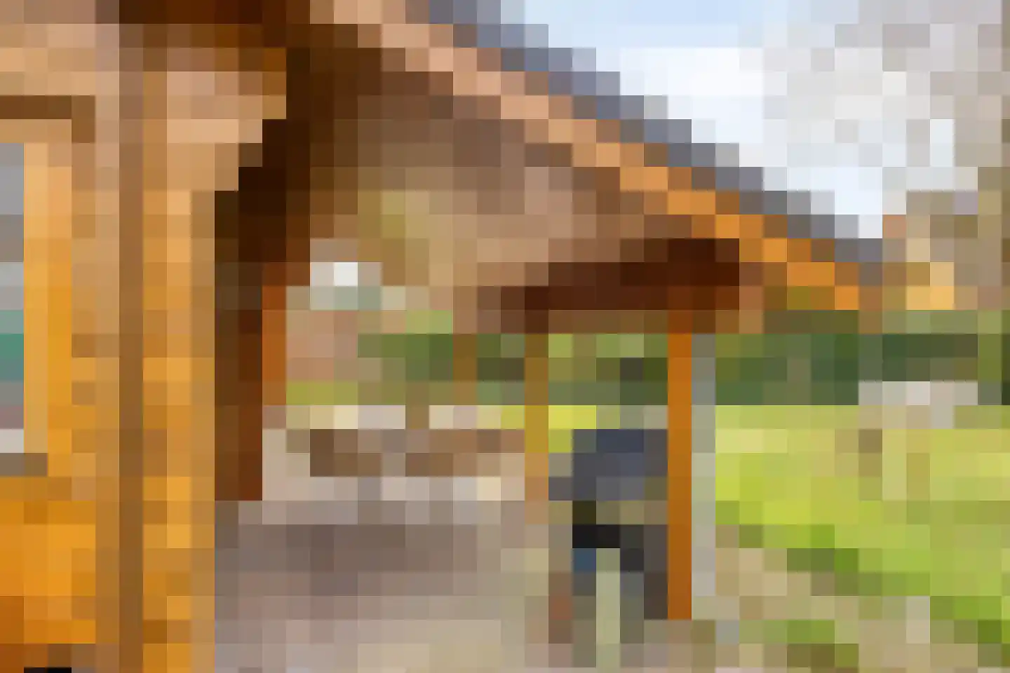 Nieuw Beusinkweg 20 33 Winterswijk thumbnail 12