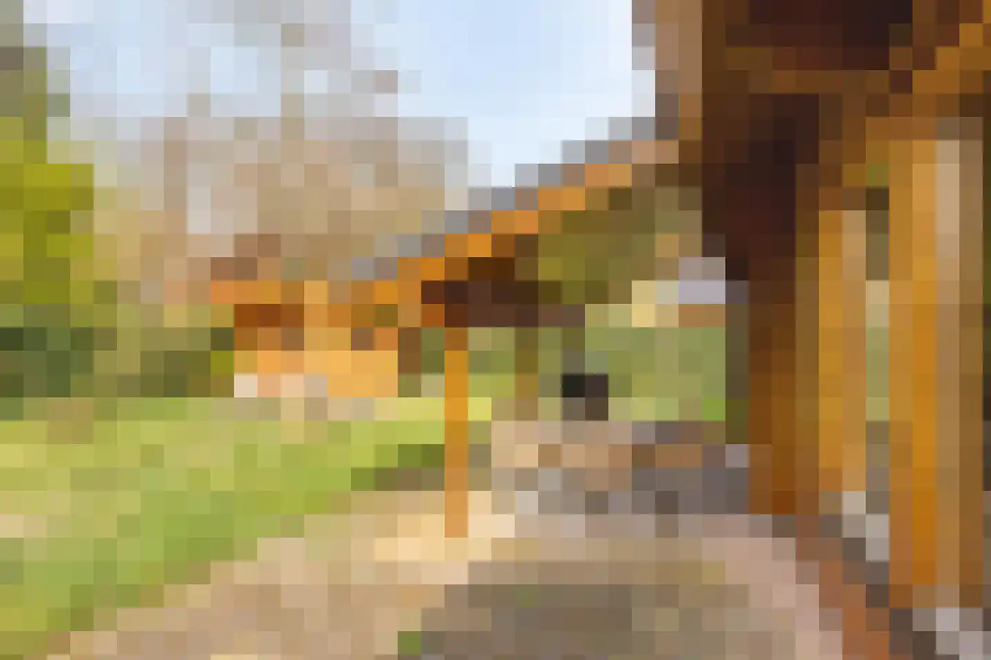 Nieuw Beusinkweg 20 33 Winterswijk thumbnail 14