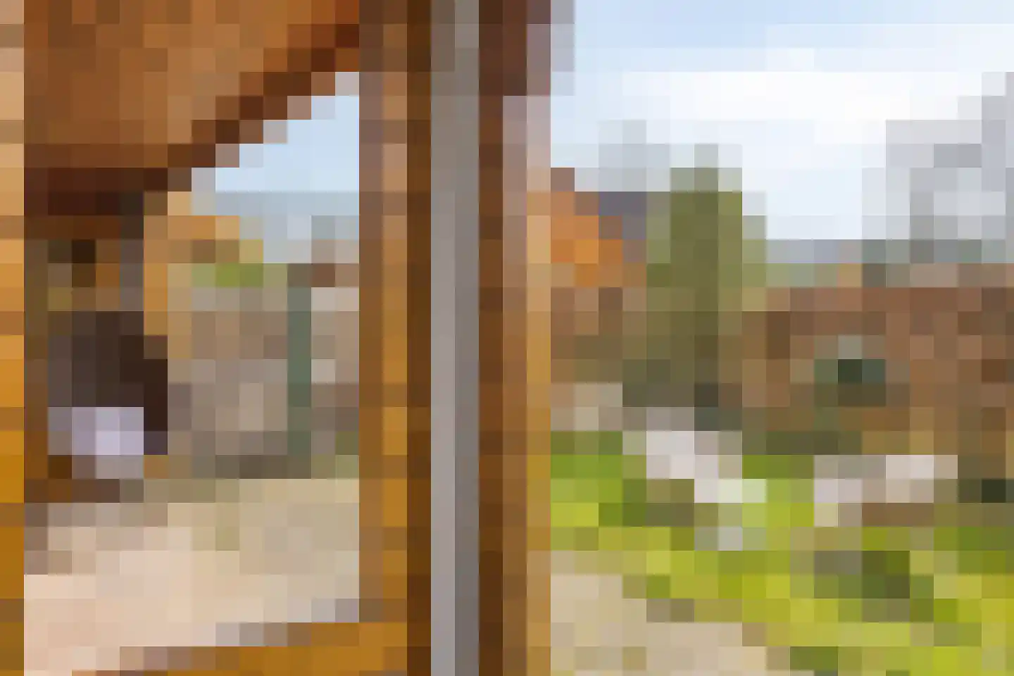 Nieuw Beusinkweg 20 33 Winterswijk thumbnail 15